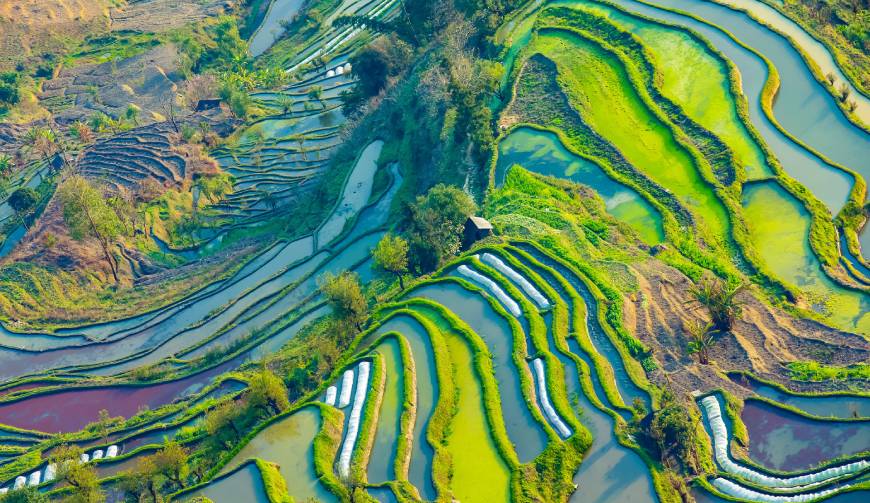 宝妈必备神器：陇川县产品视频拍摄轻松育儿好帮手