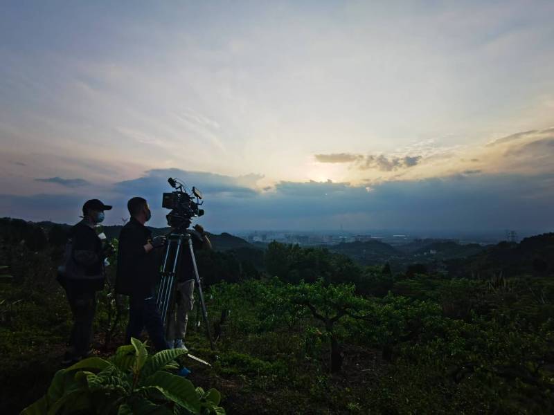 聚焦陇川县产品宣传视频拍摄公司，用专业实力铸就品牌传播传奇