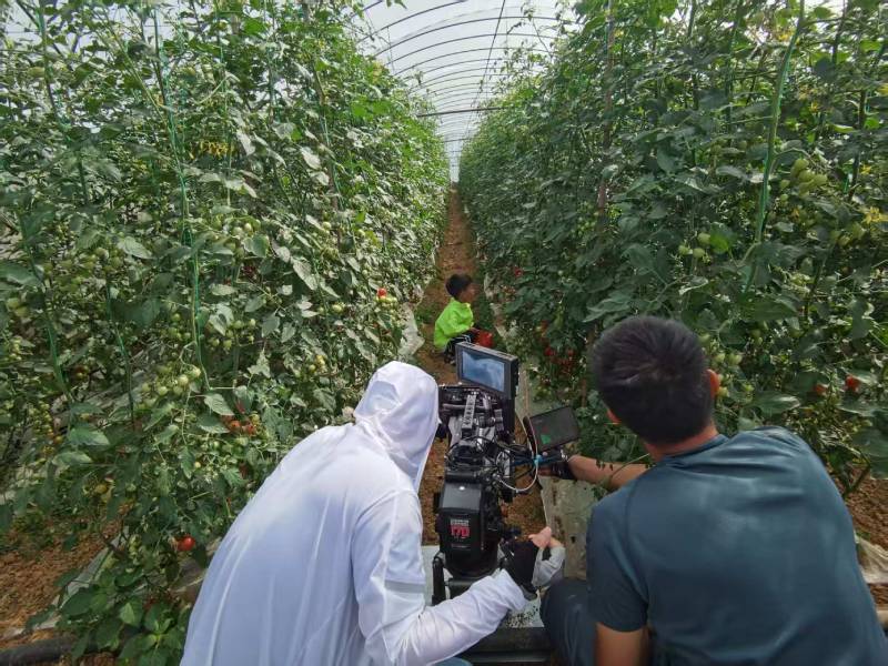 陇川县产品宣传视频拍摄公司进阶指南，助力品牌抢占传播高地